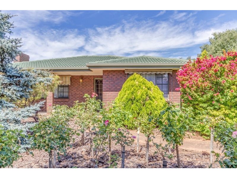 73 Winston Avenue, Daw Park SA 5041