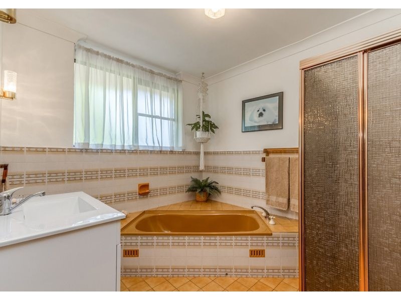 73 Winston Avenue, Daw Park SA 5041