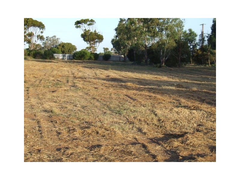 21-27 Hume Avenue, Murray Bridge SA 5253