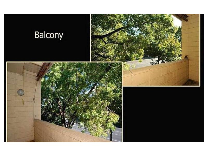 8/123 Cross Road, Hawthorn SA 5062