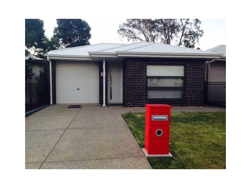 59a Mayfield Avenue, Hectorville SA 5073