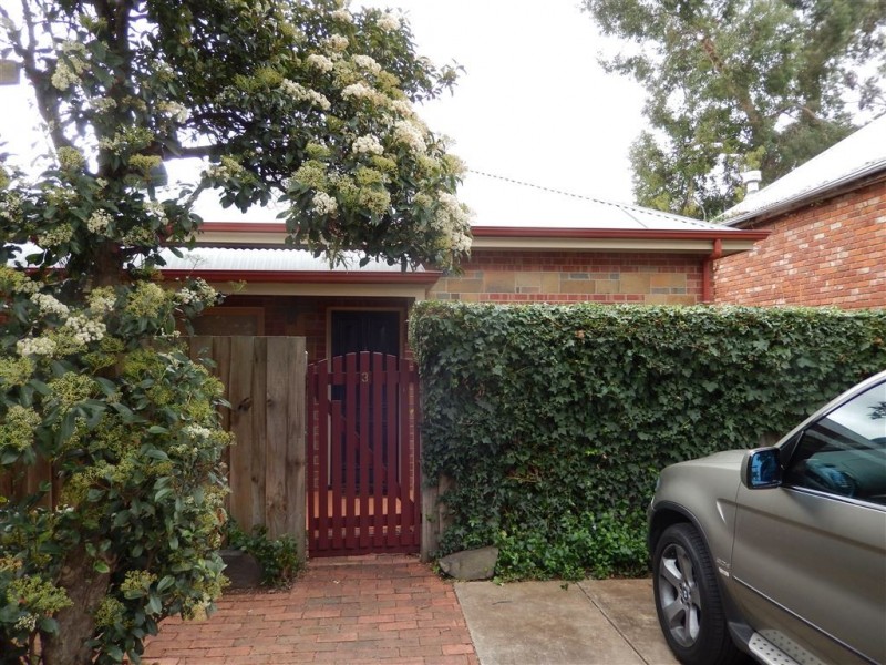 3/72 Young Street, Parkside SA 5063