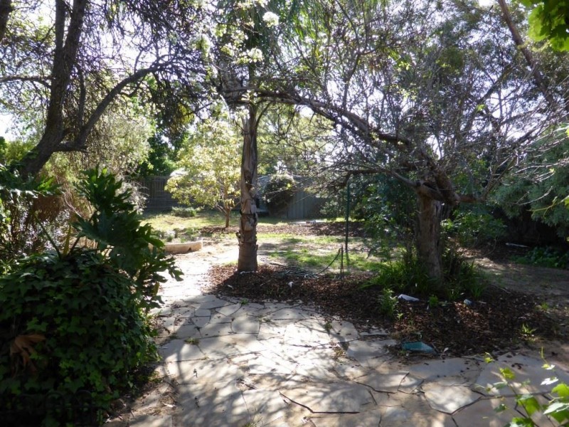 8 Swift Avenue, Melrose Park SA 5039