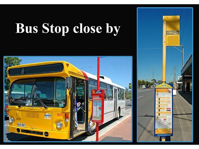 20 Hill Avenue, Cumberland Park SA 5041