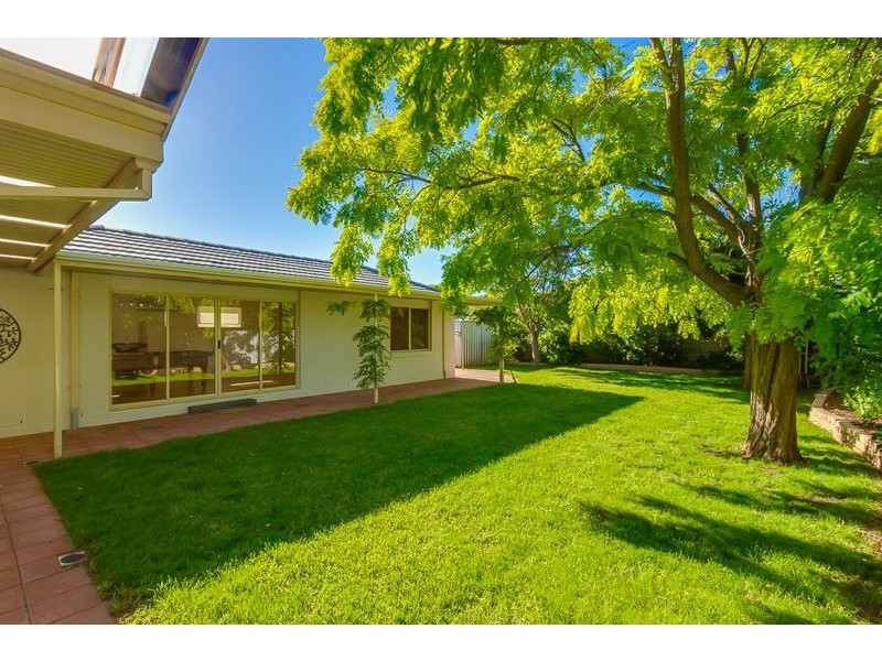 119 Ayers Avenue, Melrose Park SA 5039