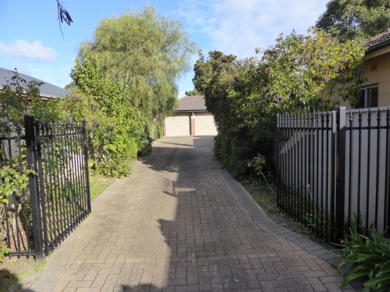 59A Ormond Avenue, Daw Park SA 5041