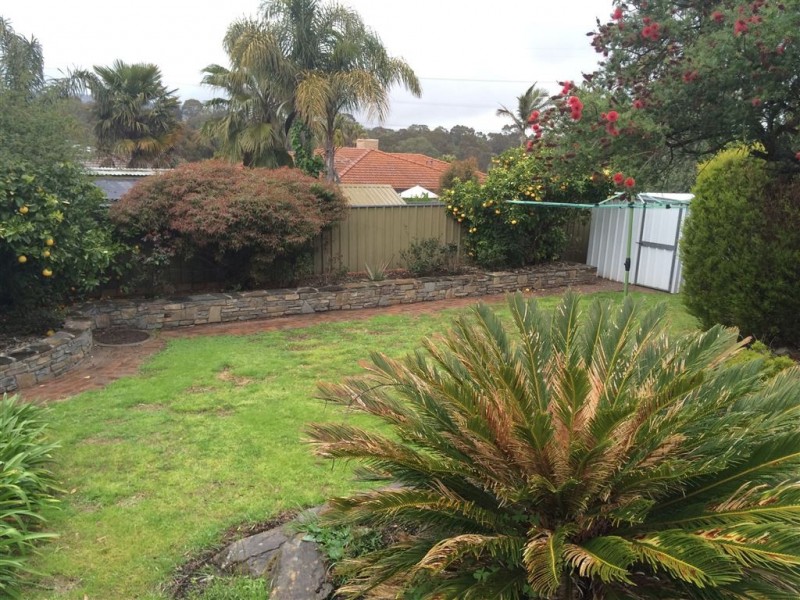 18 Portia St, Flagstaff Hill SA 5159