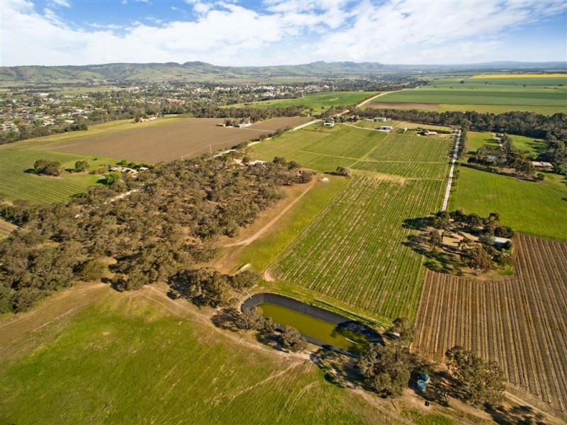 108 Smyth Road, Stone Well SA 5352