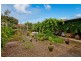 14 Dinwoodie Avenue, Clarence Gardens SA 5039