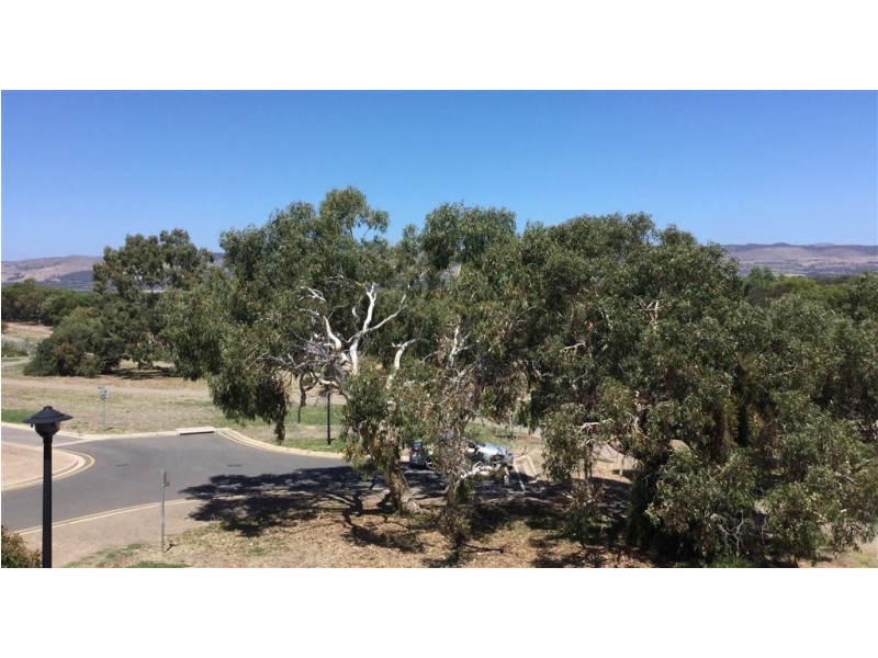 4 Lichen Walk, Aldinga Beach SA 5173