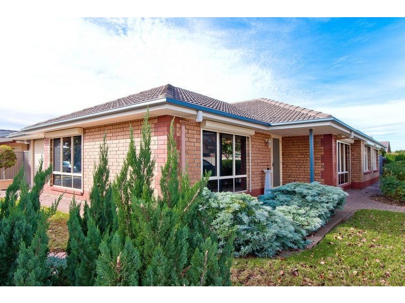 29 Burgundy Way, Glengowrie SA 5044