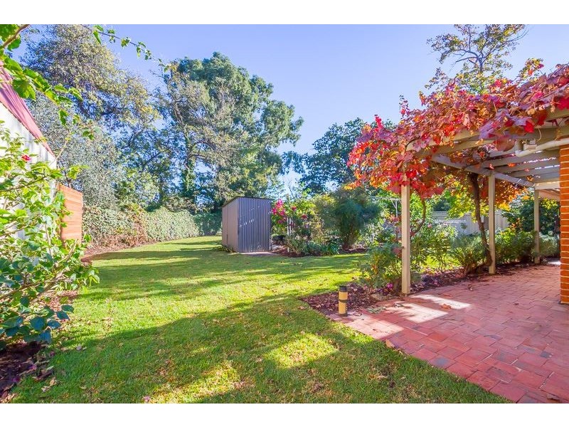 10 Tyson Street, Ashford SA 5035