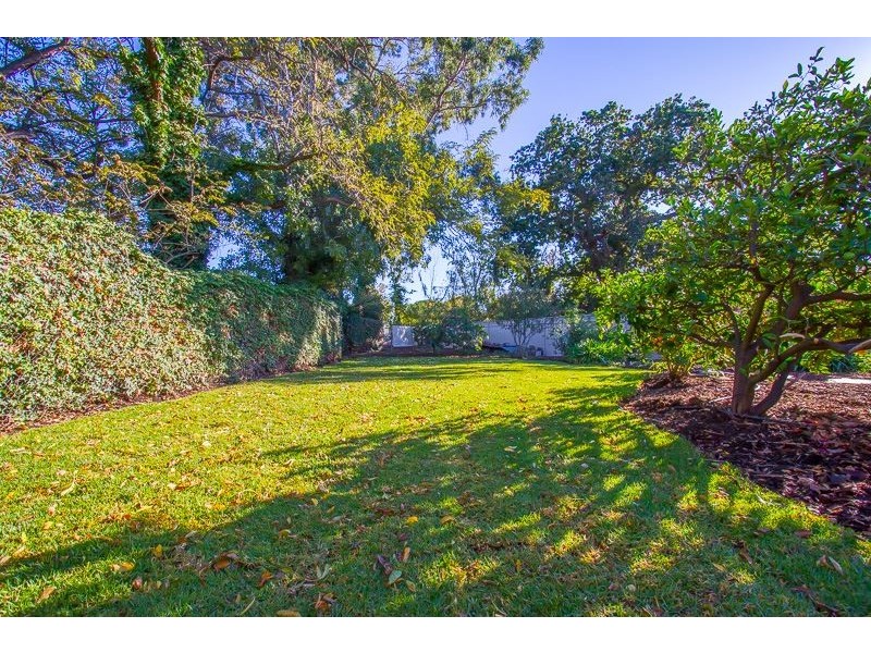 10 Tyson Street, Ashford SA 5035