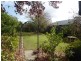 3 Owen Street, Torrens Park SA 5062