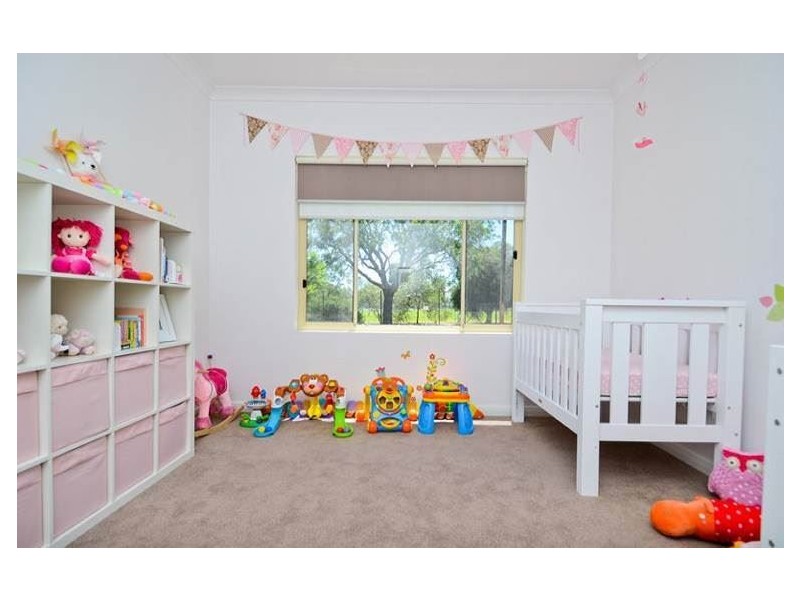 13 Morris Street, Cumberland Park SA 5041