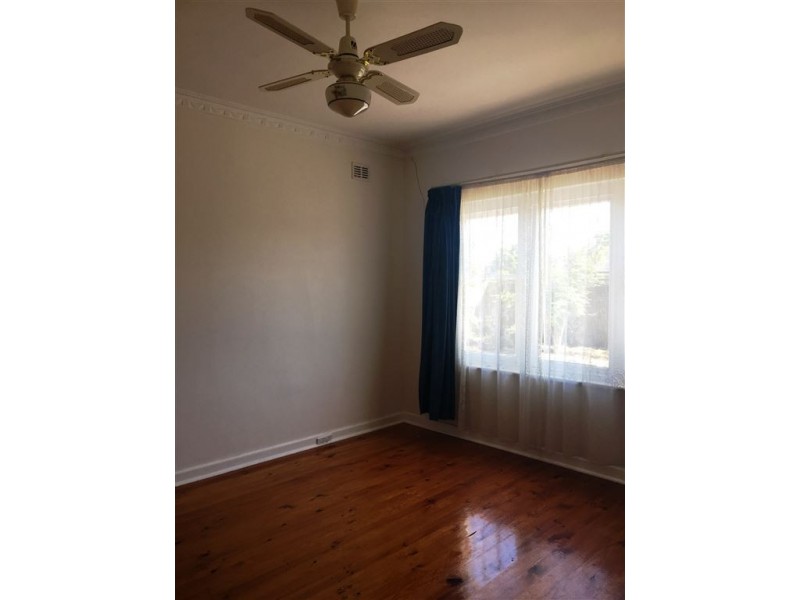 59 Edward Street, Daw Park SA 5041