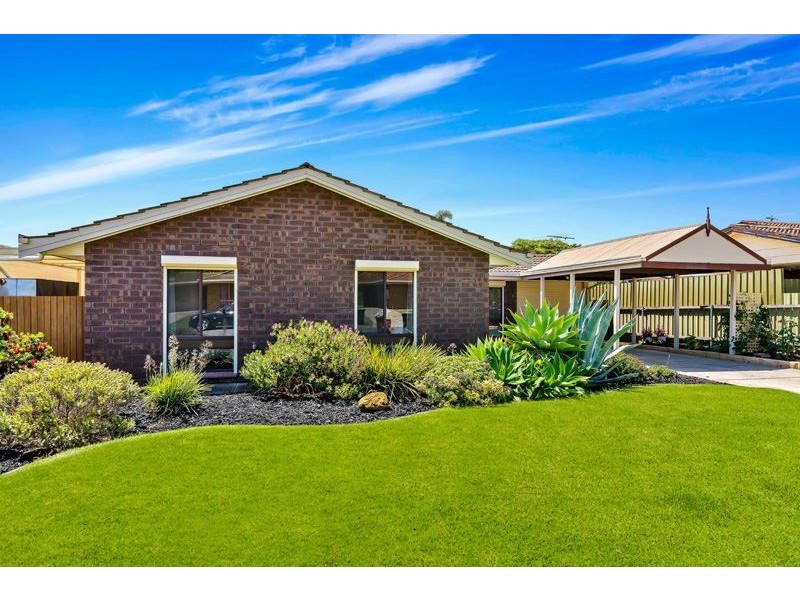 8 Cohen Court, Clovelly Park SA 5042