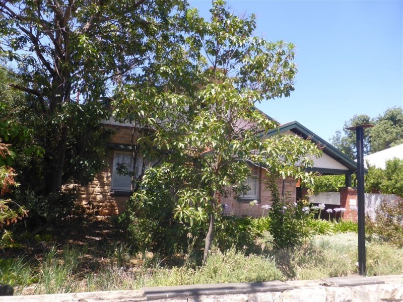 369 Goodwood, Westbourne Park SA 5041
