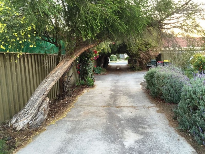 3/45 Curzon Street, Camden Park SA 5038