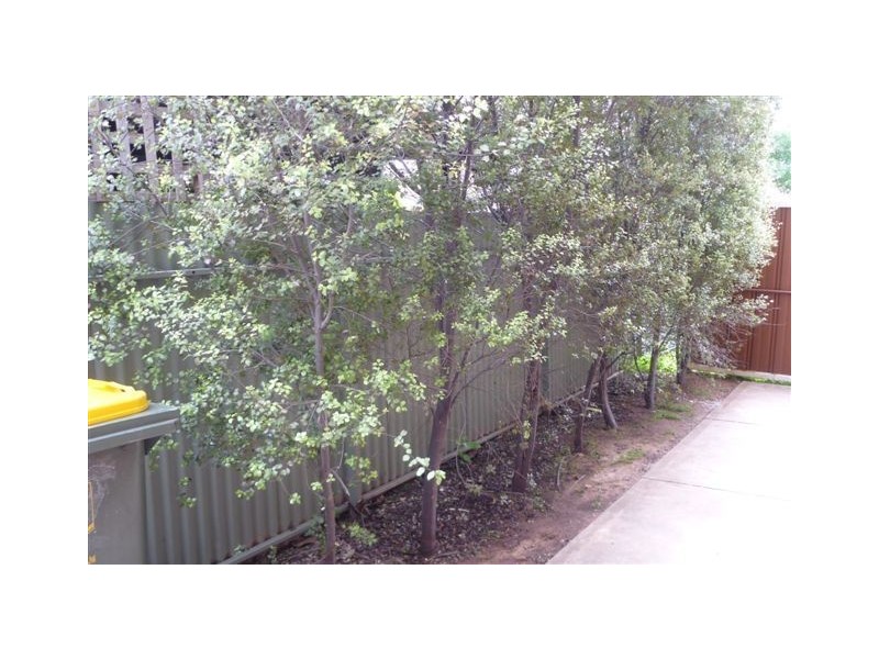1/81 Edward Street, Daw Park SA 5041