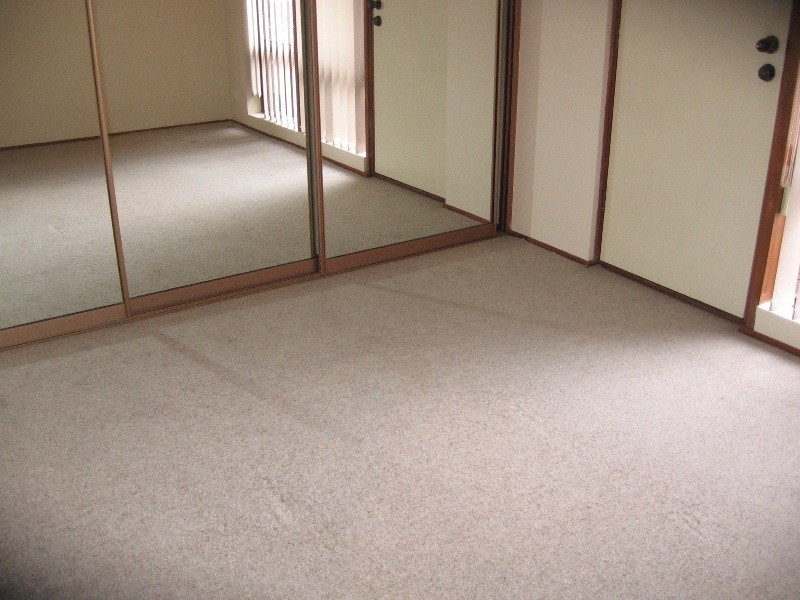 2/22 Cohen Court, Clovelly Park SA 5042