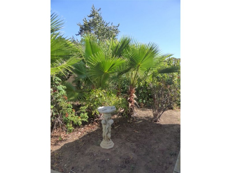 56 Kyeema Avenue, Cumberland Park SA 5041