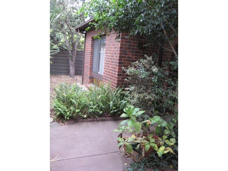 14/6 Barwell Avenue, Kurralta Park SA 5037