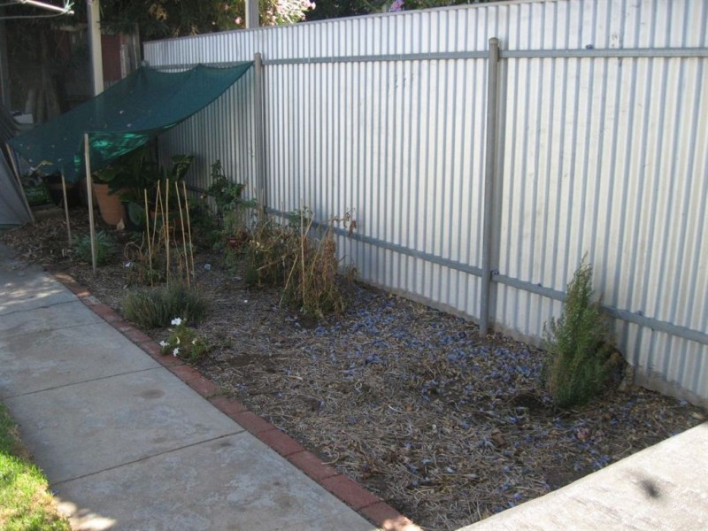 11 Norman Terrace, Forestville SA 5035