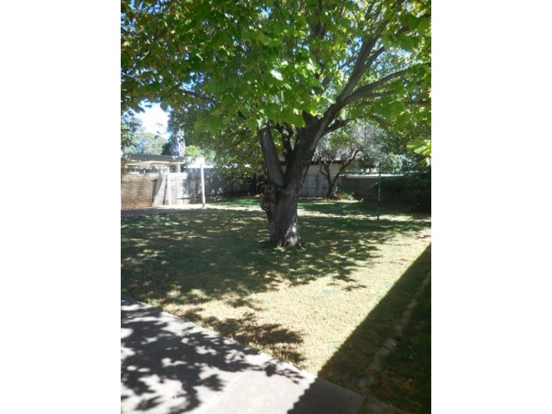 67 Albert Street, Clarence Gardens SA 5039