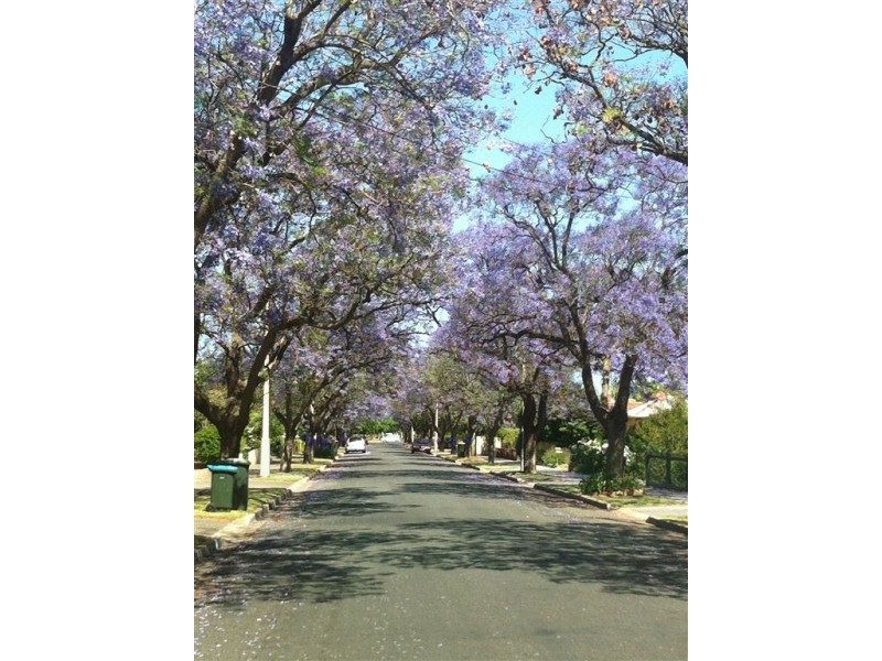 57 Narinna Avenue, Cumberland Park SA 5041