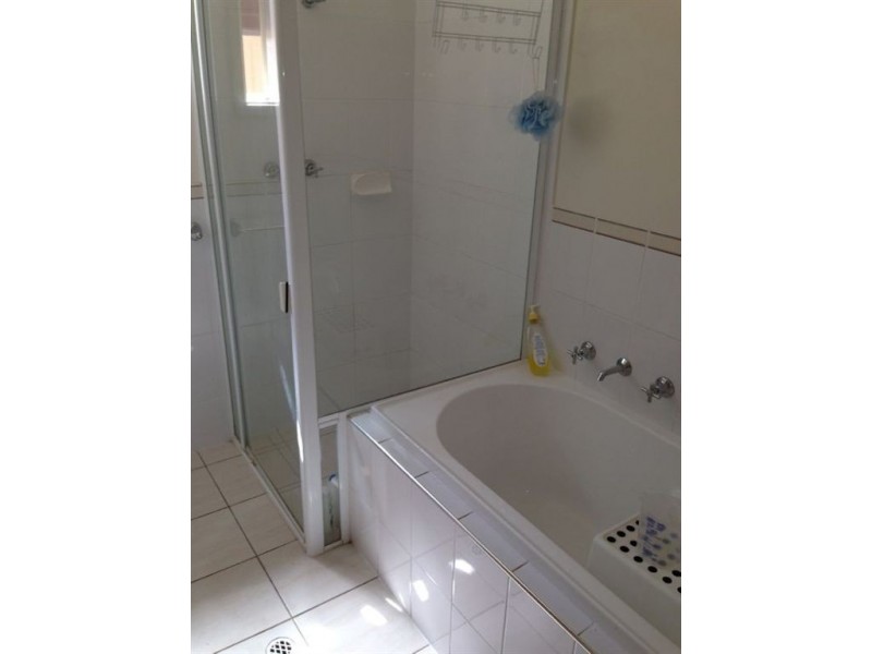 6b Williams Ave, Plympton SA 5038