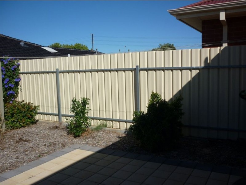 6b Williams Ave, Plympton SA 5038