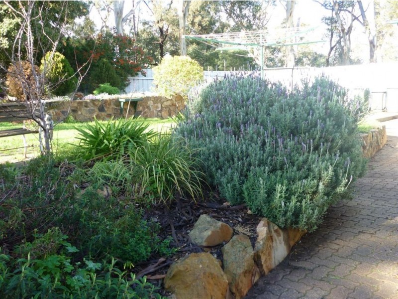 112 Gloucester Avenue, Belair SA 5052