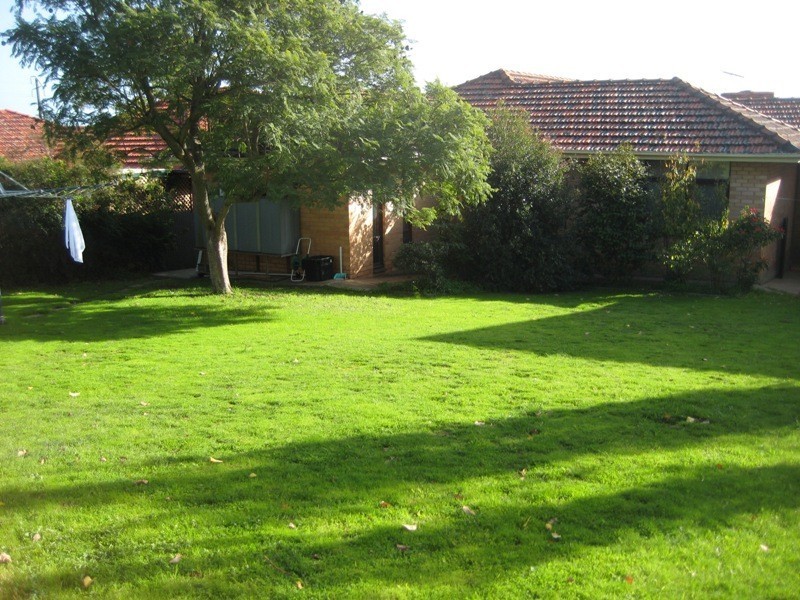 8 Bligh Ave, Panorama SA 5041