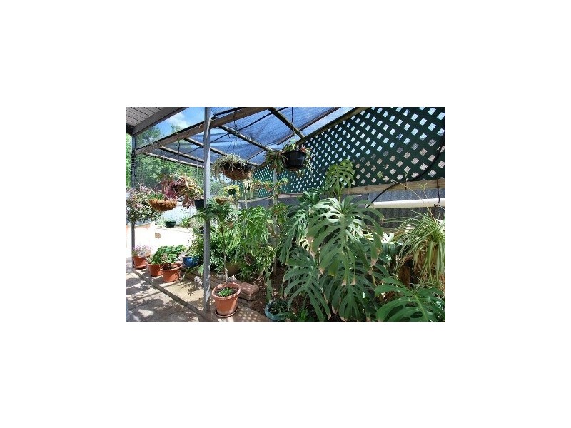 5 Kurrajong Place, Seacombe Gardens SA 5047