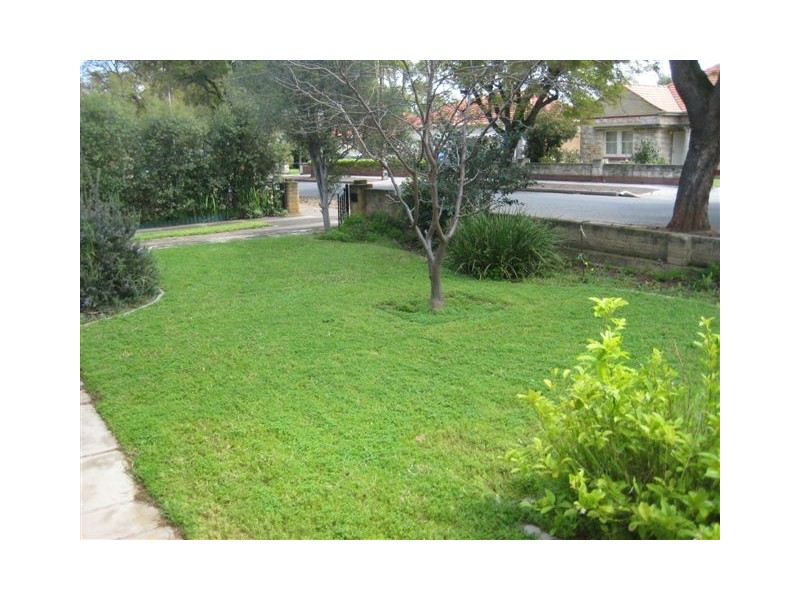 73 Kyeema Avenue, Cumberland Park SA 5041