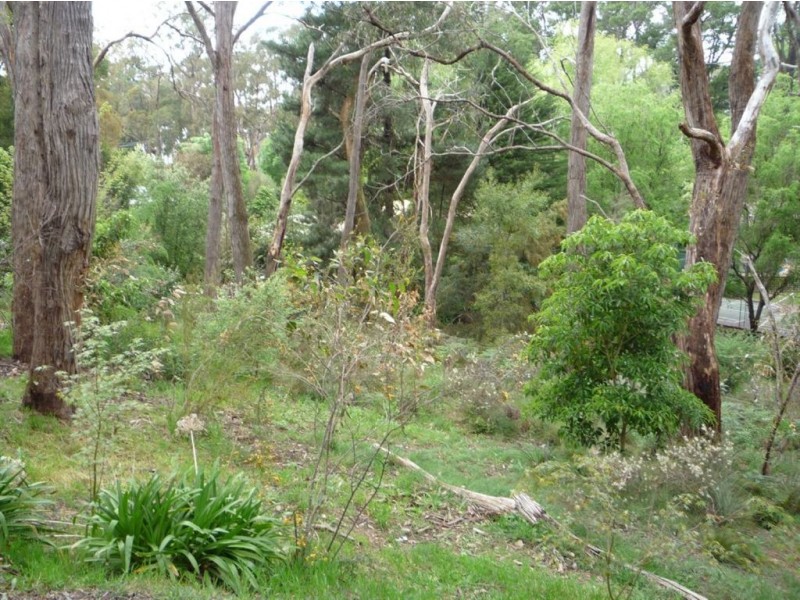 10 Cherry Pine Place, Aldgate SA 5154