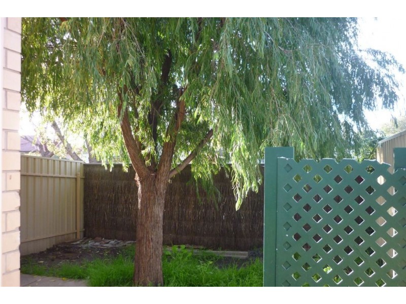 1/31 Lamont Street, Renown Park SA 5008