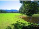 Lot 2 Mt Scanzi Road, Kangaroo Valley NSW 2577