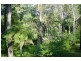 271 Tullouch Road, Berry NSW 2535