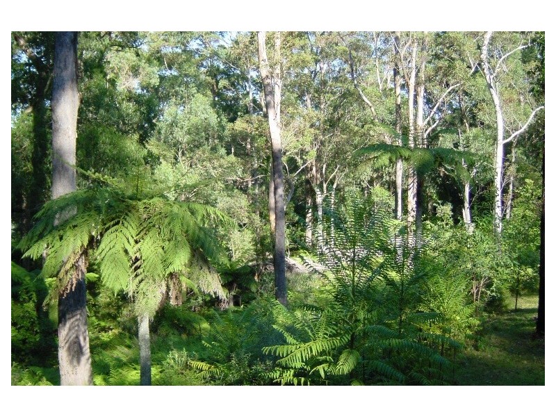 271 Tullouch Road, Berry NSW 2535