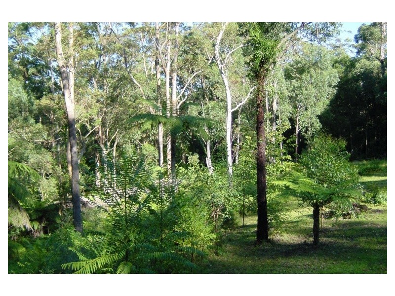 271 Tullouch Road, Berry NSW 2535