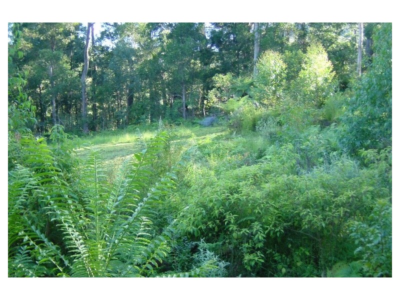 271 Tullouch Road, Berry NSW 2535