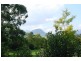 11 Mt Scanzi Rd, Kangaroo Valley NSW 2577