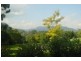11 Mt Scanzi Rd, Kangaroo Valley NSW 2577