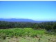 Lot 200 Bugong Fire Trail, Kangaroo Valley NSW 2577