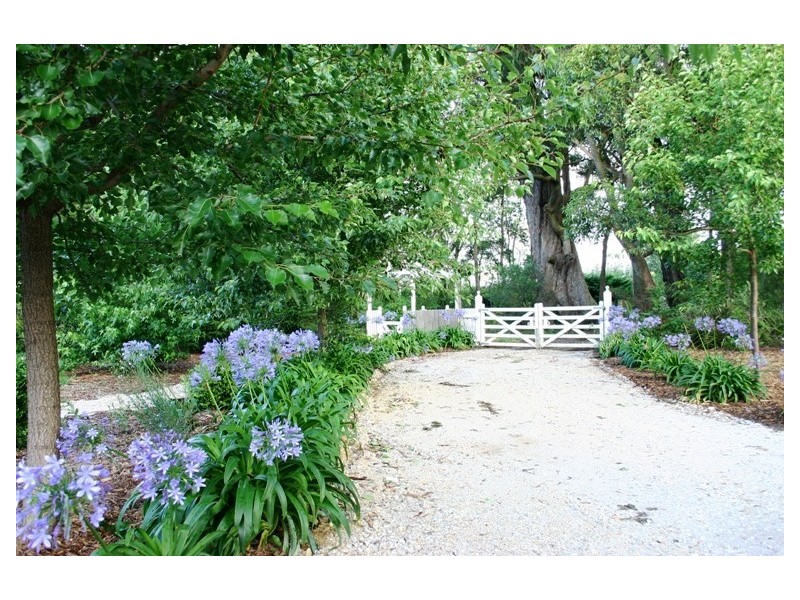 Lot 314 Manning Lookout Road, Fitzroy Falls NSW 2577