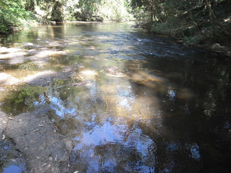 111 TreeFern Road, Kangaroo Valley NSW 2577