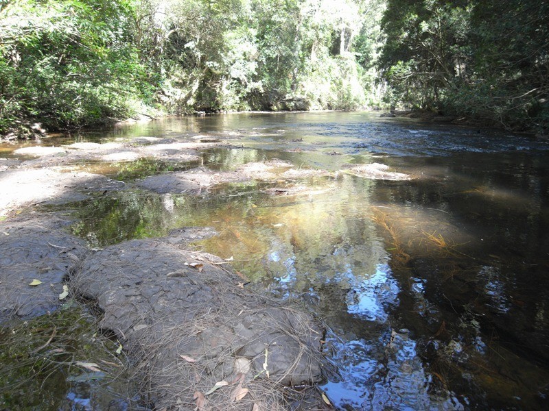 111 TreeFern Road, Kangaroo Valley NSW 2577