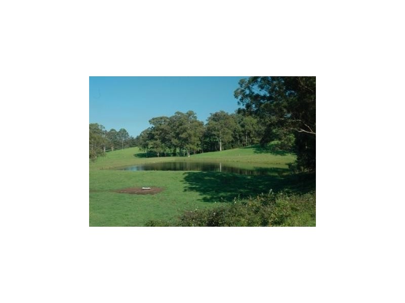 1175 Bugong Road, Kangaroo Valley NSW 2577